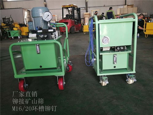 欢迎 郴州矿山振动筛铆接设备 环槽铆钉机生产厂商