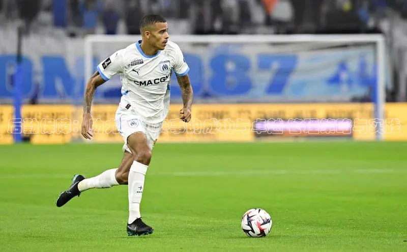 熊猫体育足球直播app度小满理财后勤保障：助力运动赛事的成功与卓越-管理策略与实践