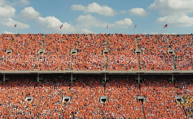 熊猫app下载哇咔哇咔文化小学生运动的魅力：观看精彩赛事视频的指南