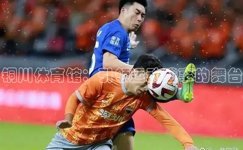 熊猫体育直播app下载百度取证铜川体育馆：引领运动盛事的舞台