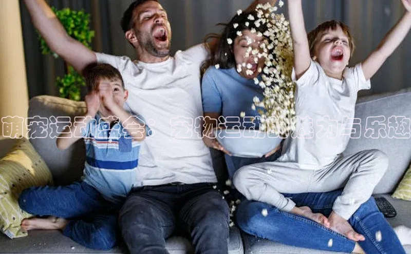 熊猫体育直播网易萌宠运动盛会：宠物运动的魅力与乐趣