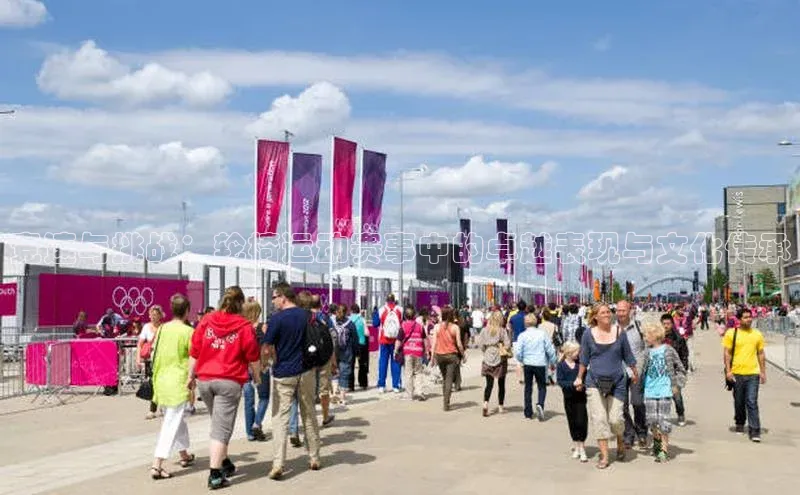 竞速与挑战：轮椅运动赛事中的卓越表现与文化传承