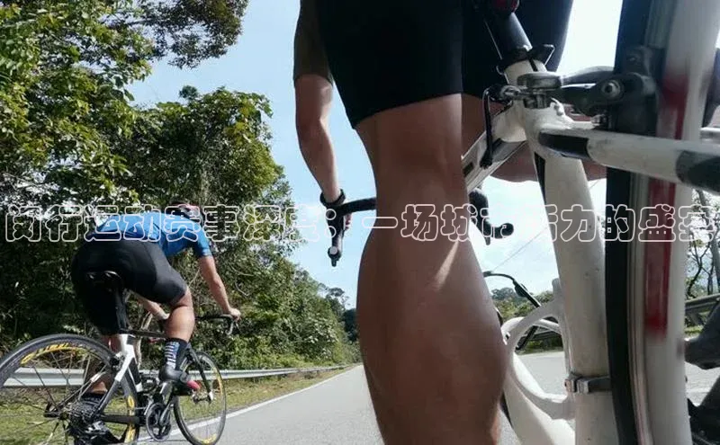 闵行运动赛事深度：一场城市活力的盛宴