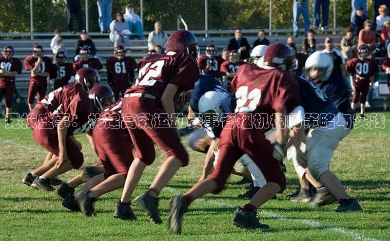 竞技盛事：构建高效运动赛事管理机构的策略与实践