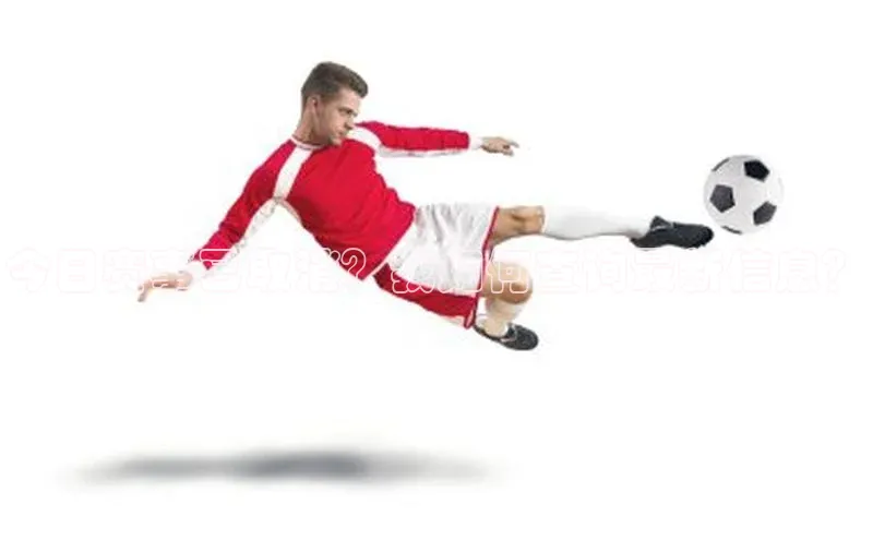 今日赛事已取消？我如何查询最新信息？