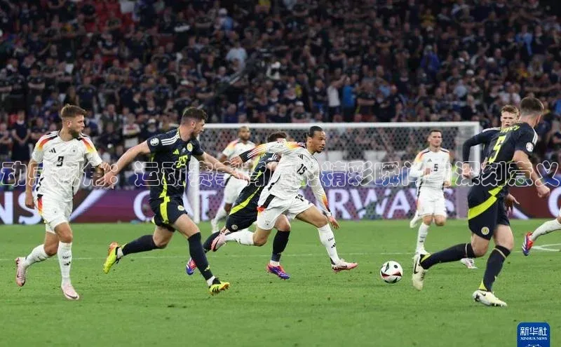 动感视角：运动赛事背后的精彩瞬间与深刻意义