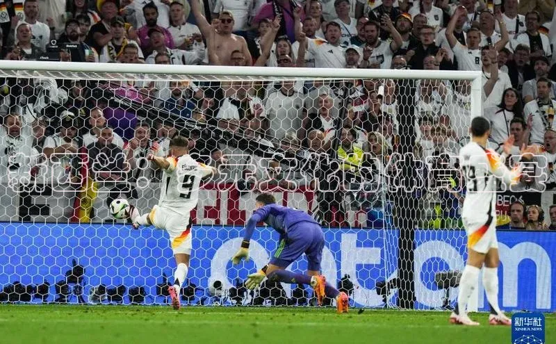 新西兰：多元文化的体育盛宴