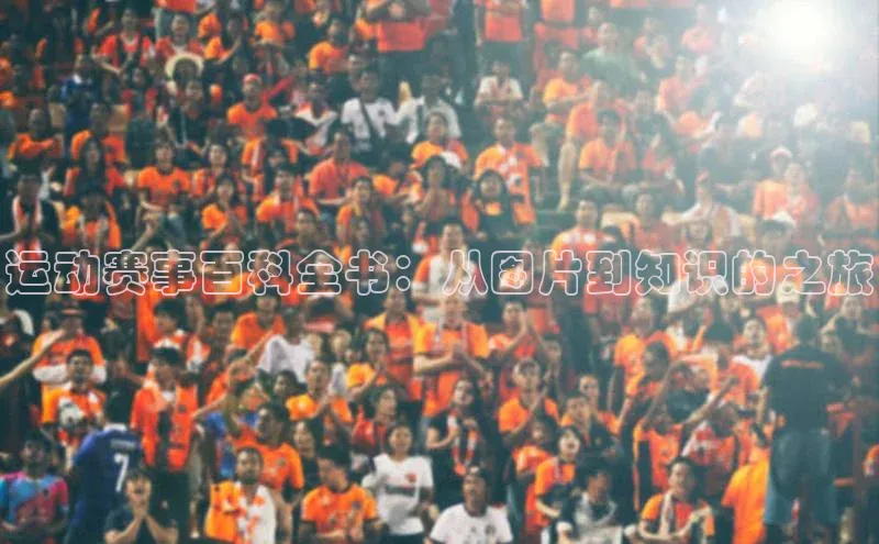 运动赛事百科全书：从图片到知识的之旅