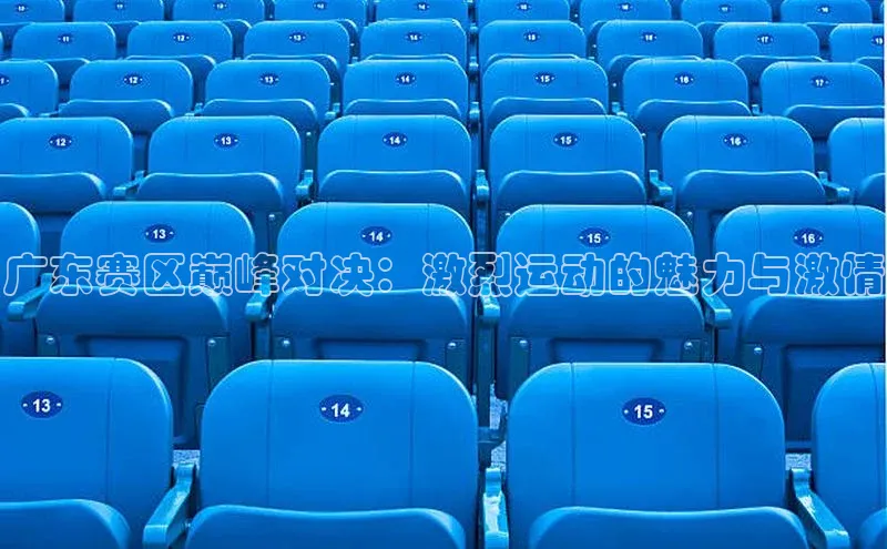 广东赛区巅峰对决：激烈运动的魅力与激情