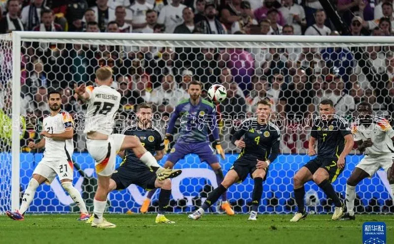 赛道上的激情与挑战：牛汽车赛事的职业运动篇章