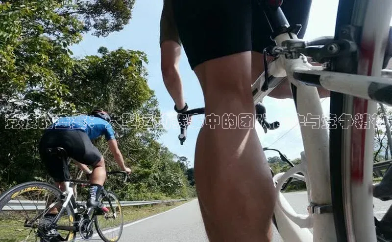 竞技的盛宴：大型运动赛事中的团队合作与竞争精神