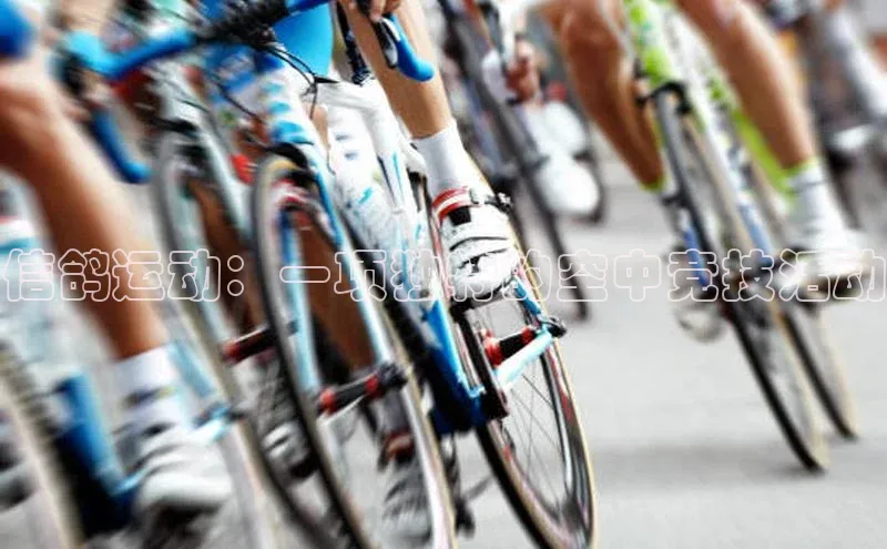 信鸽运动：一项独特的空中竞技活动