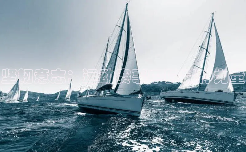 熊猫体育app下载安装