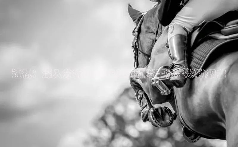 透视：深入分析2023年度运动赛事资金赞助报告