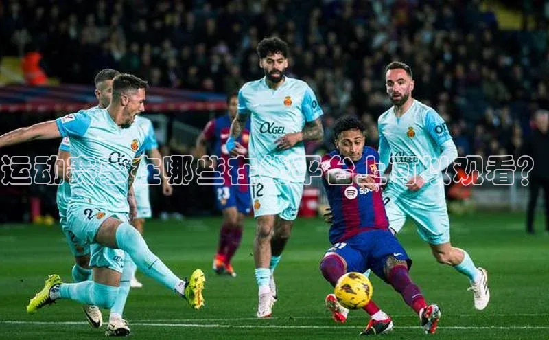 熊猫体育app安装入口