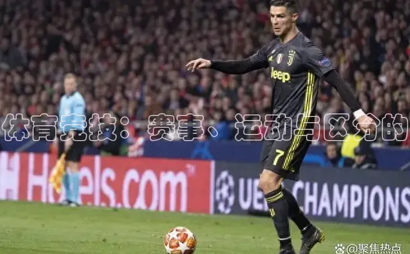 体育竞技：赛事、运动与区分的