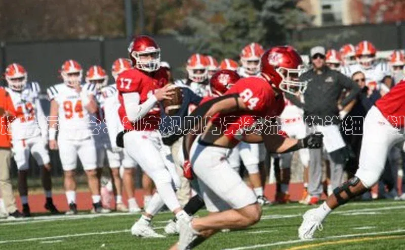 趣味运动会：制定规则与竞赛流程的详细规划