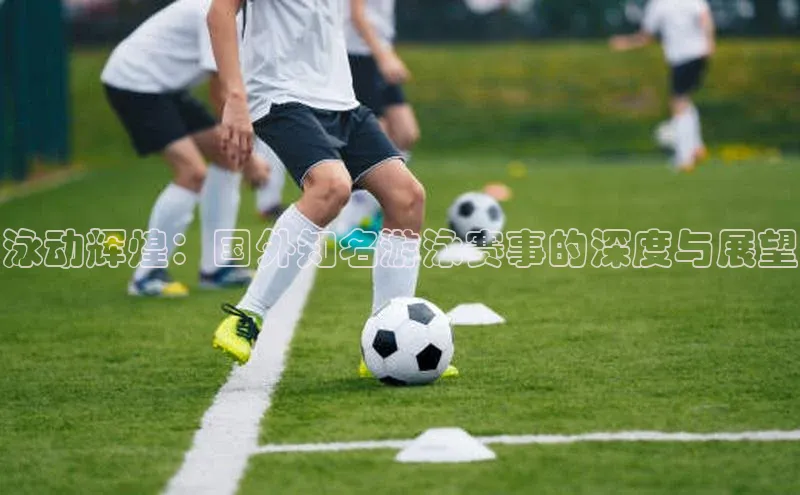 泳动辉煌：国外知名游泳赛事的深度与展望