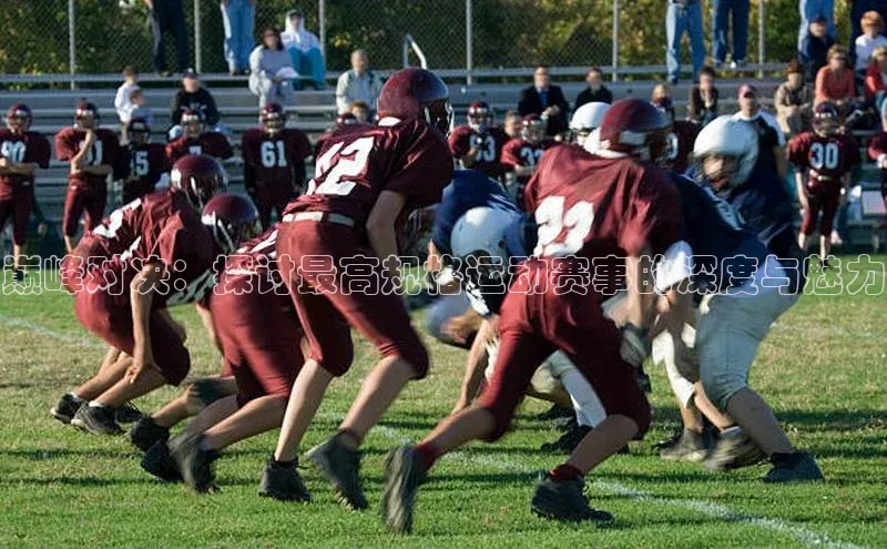 巅峰对决：探讨最高规格运动赛事的深度与魅力